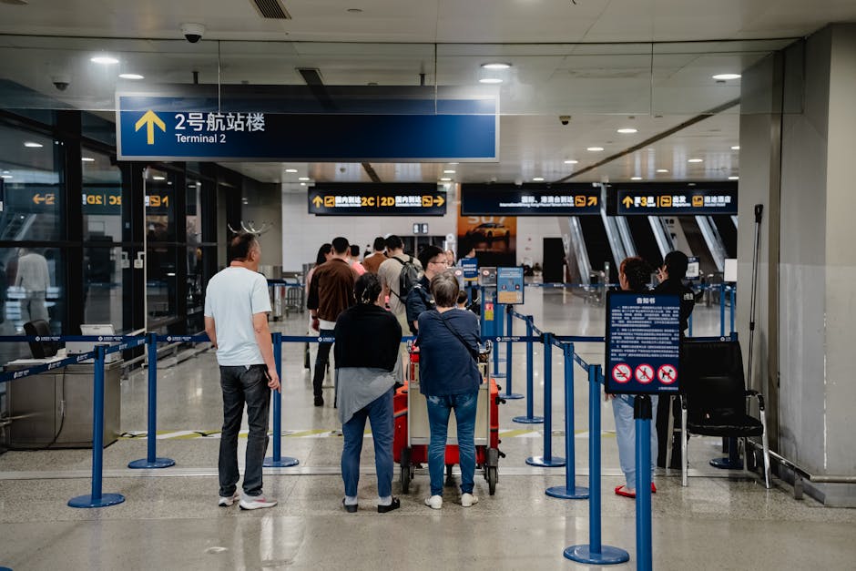 uk customs prohibited items list — image 3
