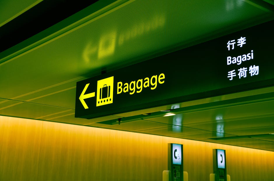 uk customs prohibited items list — image 2