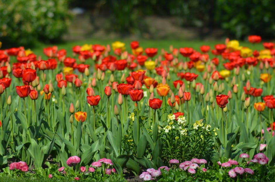Chelsea Flower Show 2026 - englische Frühjahrsblüten im Garten in voller Blüte